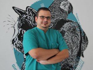 Köpeğinizin geleceğini tehdit eden risk: Meme tümörleri
