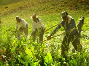 Yüksekovalı öğretmen köylerin güzelliğini fotoğrafladı