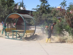 Siirt’te park ve bahçelerde temizlik ve bakım çalışmaları