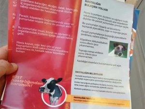 Kurban Bayramı öncesi vatandaşlar kist hastalığına karşı bilgilendiriliyor