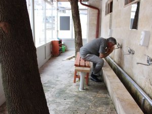 Ağaçları kesmeye gönülleri el vermedi, ortaya bu manzara çıktı