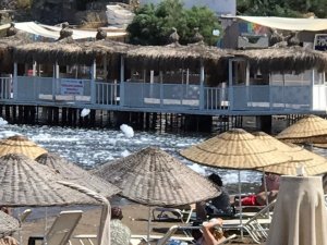 Bodrum’da denizde yapılan köpük partisi görenleri şoke etti