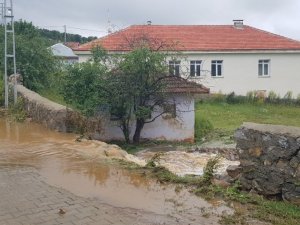 Şiddetli yağış sonrası tarlalar sular altında kaldı