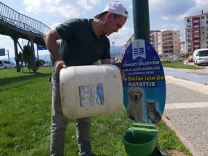 Sokaktaki canlar susuz kalmayacak