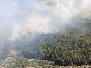 Foça’daki yangına müdahale devam ediyor