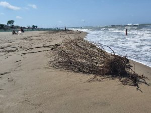 Sağanak yağış ve şiddetli rüzgar Karasu sahilini de vurdu