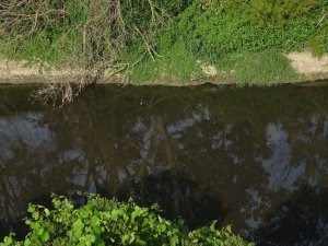 Bu köye gelen misafir kaçıyor