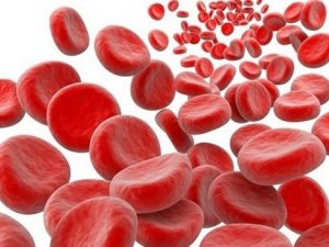 Demir eksikliğini engellemek için tüketilmesi gereken gıdalar