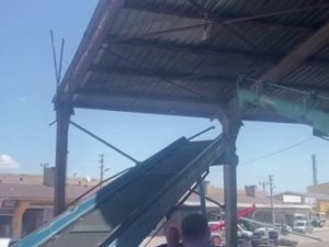 İpte asılı kalan güvercini esnaf kurtardı