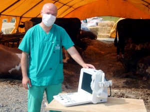 Kurbanlıklara gebelik kontrolü