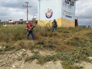Hisarcık Belediyesinden yabani ot temizliği