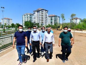 Çınar, Horata Deresi etrafındaki yeşillendirme çalışmalarını inceledi