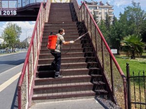 Kurban Bayramı öncesi dezenfeksiyon çalışması