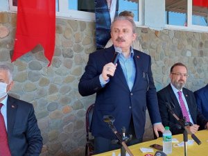 TBMM Başkanı Şentop: “Hayvanlara yapılan eziyetler, işkenceler verilen zararlarla ilgili hapis cezası getirildi”