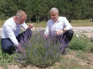 Başkan Ceyhun’dan Gölcük ziyareti