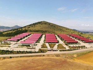 Altındağ’da kurban kesim yerleri belli oldu