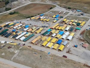 Kurban Bayramı için kurulan pazarlar müşterilerini bekliyor