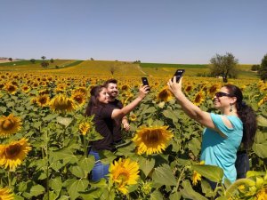Uçsuz bucaksız tarlalar sarıya boyandı, kartpostallık manzaralar ortaya çıktı