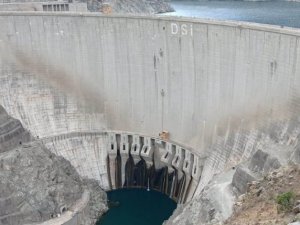 Artvin’de baraj setine tırmanan keçiler, görenleri şaşkına çeviriyor