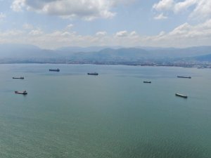 İzmit Körfezi’nde müsilaj etkisini kaybetti