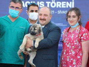 Bakan Varank: “İlk 6 ayda 105 milyar dolar ihracata ulaştık”