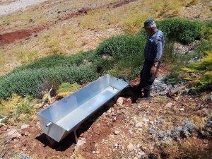 Kavurucu sıcaklarda yaban hayvanları unutulmadı