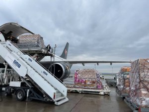 Gürcistan COVAX’tan 43 bin 200 doz AstraZeneca aşısı aldı