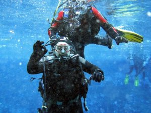 Bakan Varank bozkırın nazar boncuğuna tüple daldı