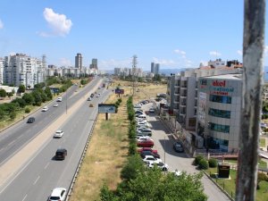 Çiğli’de sökülecek ağaçlar tramvay gelince dikilecek