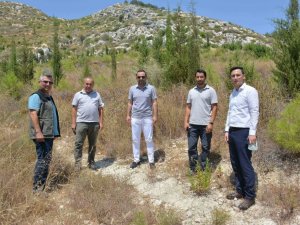 Başkan Güngör: “Tarihi kervan yolunda son aşamaya geldik”