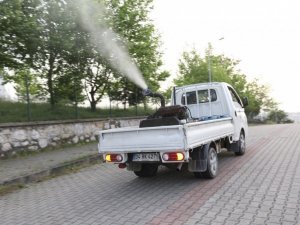 Arifiye Belediyesi ilaçlama konusunda sınıfta kaldı