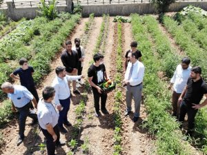 İhtiyaç sahibi ailelerin sebzeleri imam hatipli öğrencilerden