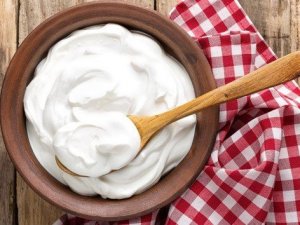 Probiyotik kullanımda nelere dikkat edilmeli