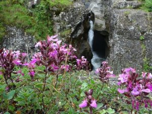 Kazankaya Şelalesi hayran bırakıyor