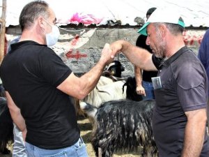 Kurban pazarlığında tokalaşma yapılmayacak