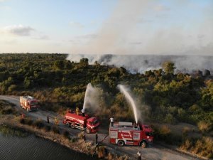 Samsun ormanlarında çıkan 22 yangında 21,28 ha örtü zarar gördü