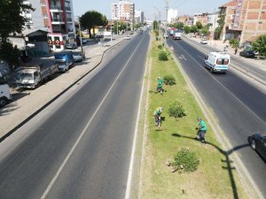 Efeler Belediyesi’nden refüj temizliği