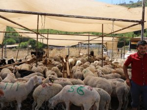 Marmaris’te kurban satış yerleri belirlendi