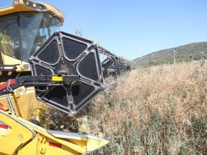 Bodrum Belediyesi, akaryakıtını kendi üretiyor