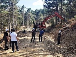 Bölge Müdürlüğü orman yol ağını genişletiyor