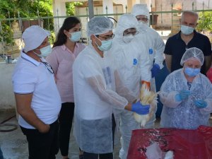İl Tarım personeline Kuş Gribi eğitimi verildi