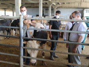 Diyarbakır’da Kurban kesim yerleri belirlendi