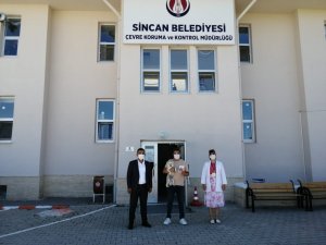 Sincan Belediyesi tarafından koruma altına alınan can dostlar yeni yuvalarına kavuşuyor