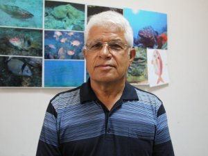 "Dünyadaki 600-700 fok sayısının dörtte üçü Yunanistan ile Türkiye kıyılarında yaşıyor"