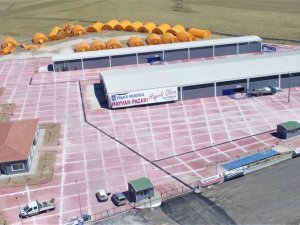 Polatlı Belediyesi Hayvan Pazarı’nda Kurban Bayramı öncesi hazırlıklar tamamlandı