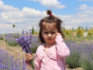 Yetişmez dediler, o kulak asmadı şimdi hasada gün sayıyor