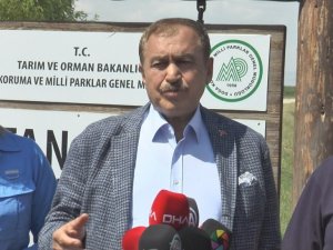 TBMM Küresel İklim Değişikliği Komisyonu Sultan Sazlığı’nda incelemelerde bulundu