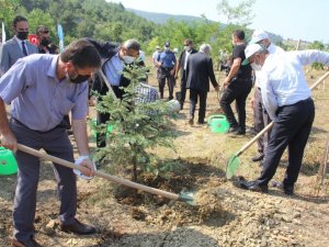 Sinop’ta 15 Temmuz şehitleri anısına 251 fidan dikildi