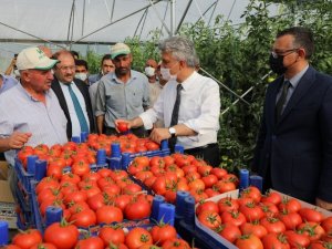 Vali Makas, seralarda incelemelerde bulundu