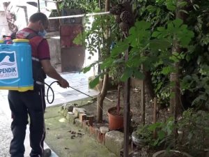 Pendik’te sivrisinek avcıları havadan görüntülendi